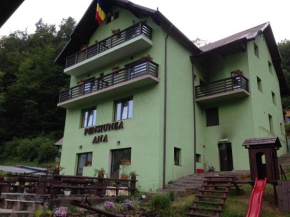 Гостиница Pensiunea Ana, Кавник